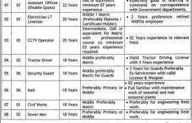 Quaid-e-Azam Industrial Estate Jobs 2020