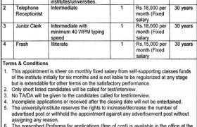 IBA Punjab University Jobs 2020