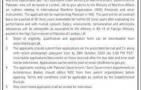 Ministry of Maritime Affairs Jobs 2020