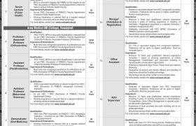 NUMS Rawalpindi Jobs 2020