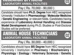 Karachi University Jobs 2020