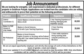 South Punjab Project-Based Jobs 2020
