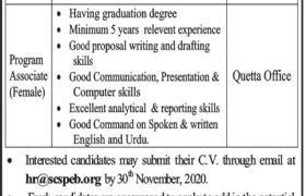 SCSPEB Balochistan Jobs 2020