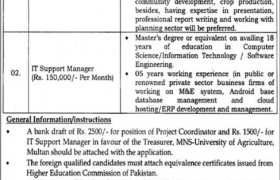 MNS-UAM Multan Jobs 2020