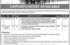 National Institute of Management Jobs 2020