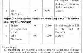 Islamia University Bahawalpur Jobs 2020