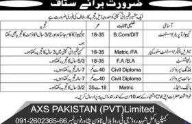 AXS Pakistan Pvt Ltd Jobs 2020
