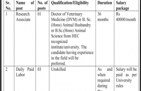 Islamia University Bahawalpur Jobs 2020