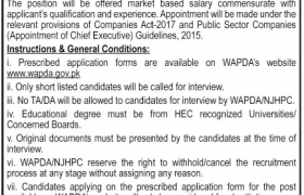 WAPDA / NJHPC Jobs 2020
