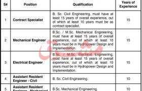 Engineering Organization Jobs 2020