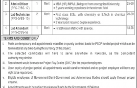 HDIP Karachi Jobs 2020