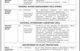 Ministry of National Food Security Jobs 2021