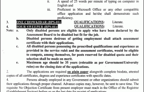 UoA Faisalabad Jobs 2021