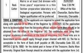 Bacha Khan University Charsadda Jobs 2021