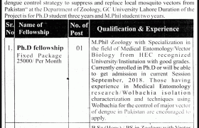 GC University Lahore Fellowship 2021