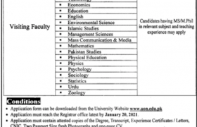 University of Narowal Jobs 2021