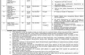 Ministry of Human Rights Jobs 2021