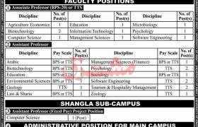University of Swat Jobs 2021