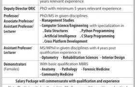The University of Faisalabad Jobs 2021