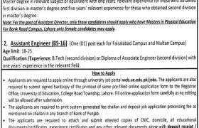 University of Education Lahore Jobs 2021