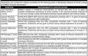 BMDC Hospital Bahawalpur Jobs 2021