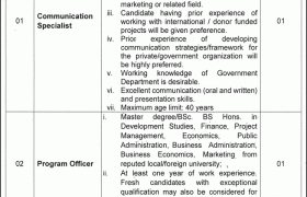 Program Implementation Unit Punjab Jobs 2021