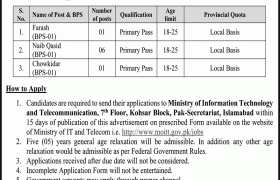 Ministry of Information Technology Jobs 2021