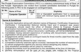 Punjab Examination Commission Lahore Jobs 2021