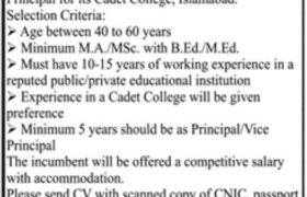 Ali Trust College Islamabad Jobs 2021