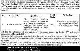 University of Sargodha Jobs 2021