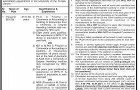 University of Punjab Jobs 2021