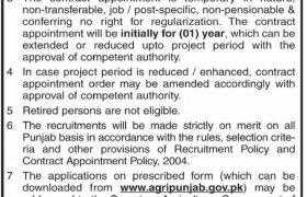 Agriculture Department Punjab Jobs 2021