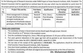 Pulses Research Institute Faisalabad Jobs 2021