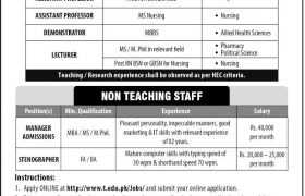 Jobs in Times Institute Multan 2021