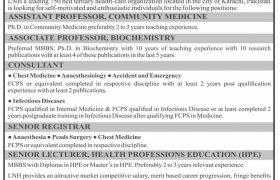 Liaquat Medical College Karachi Jobs 2021