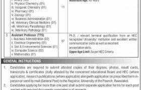 University of Poonch Rawalakot Jobs 2021