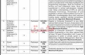 Project-Based Jobs in Kpk 2021