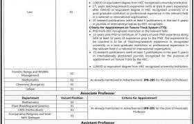 Jobs in Islamia University of Bahawalpur 2021