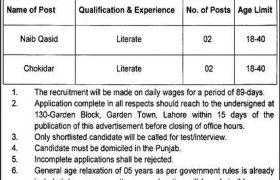 Jobs in Tourism Department Punjab 2021
