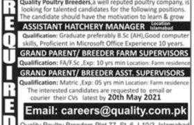 Jobs in Quality Poultry Breeders Islamabad 2021