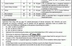 Jobs in Lahore College for Women University 2021