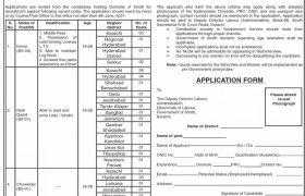 Jobs in Directorate of Labor Sindh 2021
