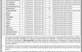 Jobs in Liaquat University Hyderabad 2021
