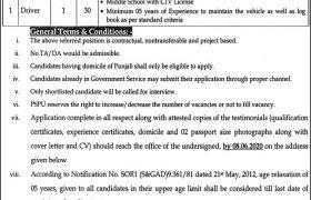 Jobs in Policy & Strategic Unit Punjab 2021