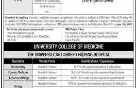 Jobs in The University of Lahore 2021