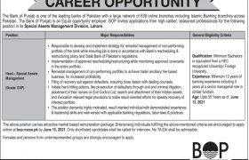 Jobs in The Bank of Punjab 2021