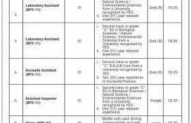 Jobs in Ministry of Climate Change 2021