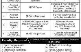 Jobs in Minhaj University Lahore 2021