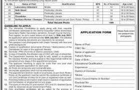 District Education Officer Jamshoro Jobs 2021