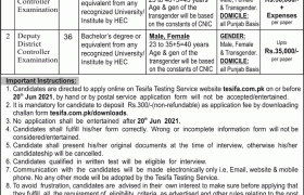 Jobs in Tesifa Testing Service Lahore 2021